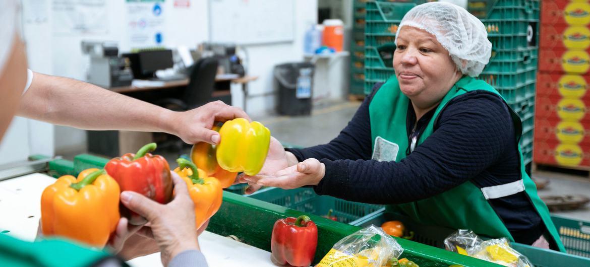 Urgente aplicar perspectiva de género a salud y riesgos laborales